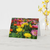 Gerbera Daisy Garden Geburtstag Karte (Gelbe Blume)