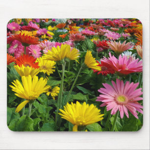 Gerbera Daisy Garden Mousepad