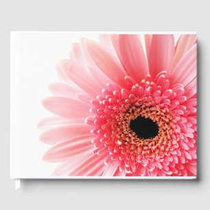 Gerbera Daisy Gästebuch