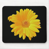 Gerbera Daisy (Gerbera hybrida) - Gelb Mousepad (Vorne)