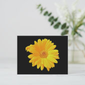 Gerbera Daisy (Gerbera hybrida) - Gelb Postkarte (Stehend Vorderseite)