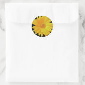 Gerbera Daisy (Gerbera hybrida) - Gelb Runder Aufkleber (Tasche)