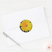 Gerbera Daisy (Gerbera hybrida) - Gelb Runder Aufkleber (Umschlag)