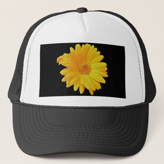 Gerbera Daisy (Gerbera hybrida) - Gelb Truckerkappe (Vorderseite)