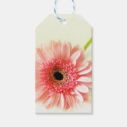 Gerbera Daisy Geschenkanhänger (Vorderseite)