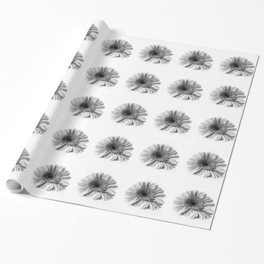 Gerbera Daisy Geschenkpapier (Ungerollt)