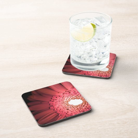 Gerbera Daisy Getränkeuntersetzer (Rechte Seite)