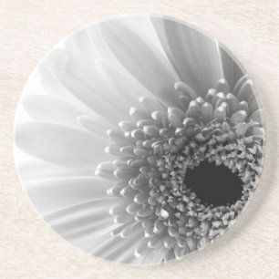 Gerbera Daisy Getränkeuntersetzer