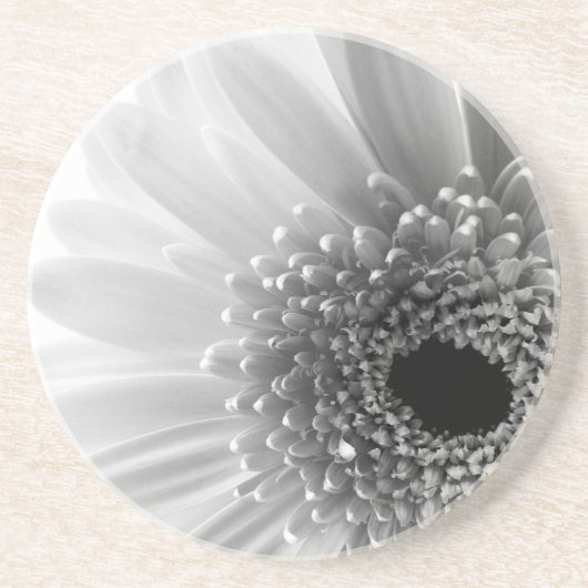 Gerbera Daisy Getränkeuntersetzer (Vorne)