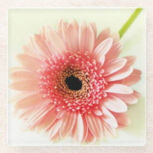 Gerbera Daisy Glasuntersetzer