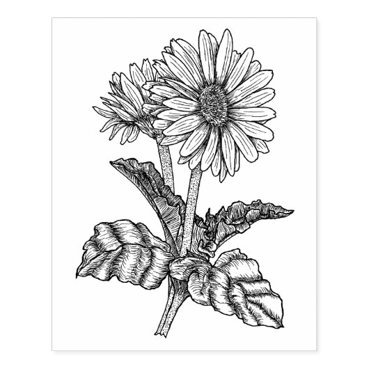 Gerbera Daisy Gummistempel (Prägung)