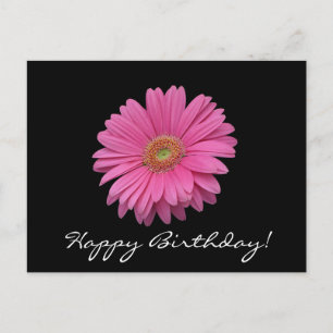 Gerbera Daisy Happy Birthday Postcard Postkarte