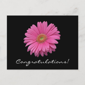 Gerbera Daisy Herzlichen Glückwunsch Postcard Postkarte