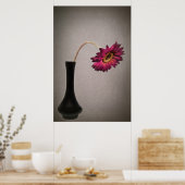 Gerbera Daisy in Vase fallen lassen Poster (Küche)