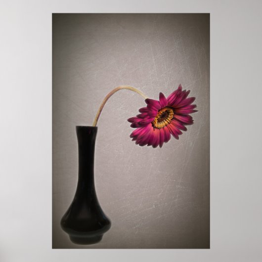 Gerbera Daisy in Vase fallen lassen Poster (Vorne)