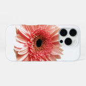 Gerbera Daisy iPhone Hülle (Rückseite (Horizontal))