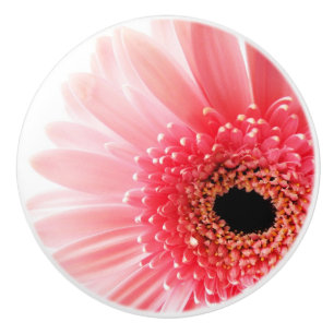 Gerbera Daisy Keramikknauf
