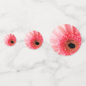 Gerbera Daisy Konfetti (Vorderseiten)