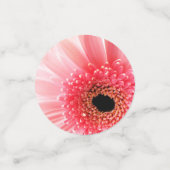Gerbera Daisy Konfetti (Klein Vorderseite)