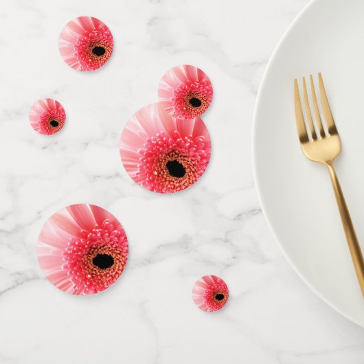 Gerbera Daisy Konfetti (Gruppe)