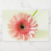 Gerbera Daisy Lebensmitteletikett (Einzelnes Label)