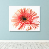 Gerbera Daisy Leinwanddruck (Insitu (Holzboden))