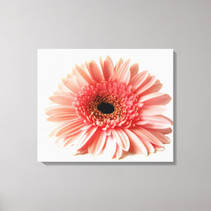 Gerbera Daisy Leinwanddruck