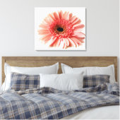 Gerbera Daisy Leinwanddruck (Insitu (Schlafzimmer))