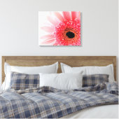 Gerbera Daisy Leinwanddruck (Insitu (Schlafzimmer))