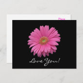 Gerbera Daisy Liebe You Postcard Postkarte (Vorne/Hinten)