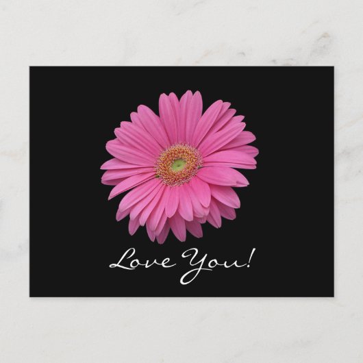 Gerbera Daisy Liebe You Postcard Postkarte (Vorderseite)