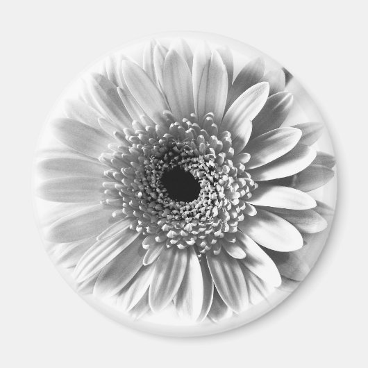 Gerbera Daisy Magnet (Vorne)