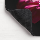 Gerbera Daisy mit Wassertropfen auf einem Petal Mousepad (Ecke)