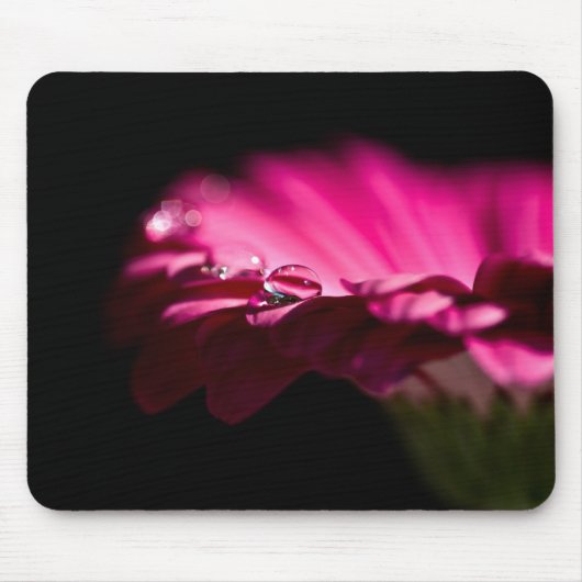 Gerbera Daisy mit Wassertropfen auf einem Petal Mousepad (Vorne)