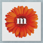 Gerbera Daisy Monogram Initial Künstlicher Leinwanddruck<br><div class="desc">Burnt orange gerbera daisy Blume mit einer modernen Kleinschreibung Typografie Monogramm Initialdesign. Ändern Sie die Initiale,  um sie zu personalisieren.</div>