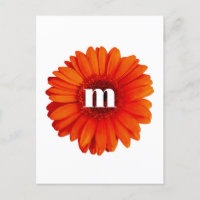 Gerbera Daisy Monogram Initial