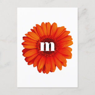 Gerbera Daisy Monogram Initial Postkarte