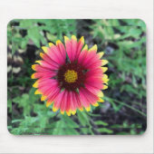 Gerbera Daisy Mouse Pad Mousepad (Vorne)