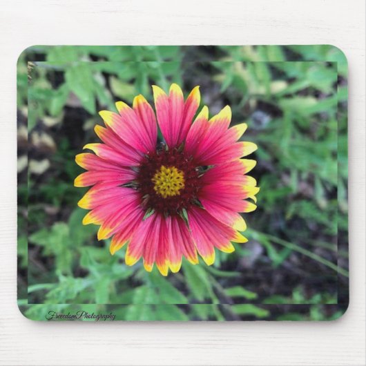 Gerbera Daisy Mouse Pad Mousepad (Vorne)
