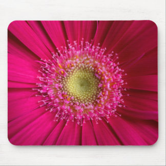 Gerbera Daisy Mouse Pad Mousepad