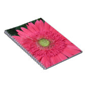 Gerbera Daisy Notizblock (Rechte Seite)