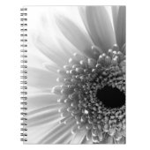 Gerbera Daisy Notizblock (Vorderseite)
