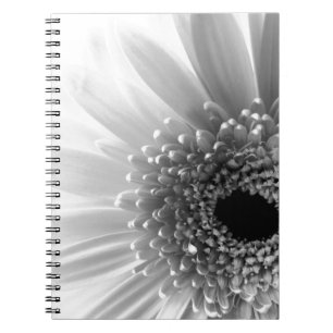 Gerbera Daisy Notizblock