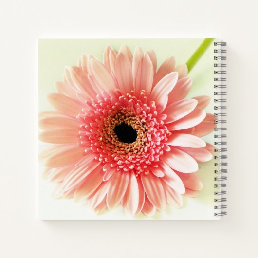 Gerbera Daisy Notizblock (Rückseite)