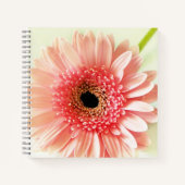 Gerbera Daisy Notizblock (Vorderseite)