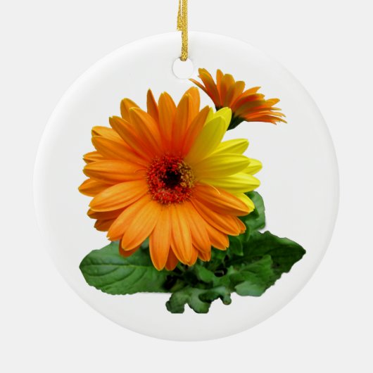 GERBERA DAISY-ORNAMENTS KERAMIKORNAMENT (Hinten)