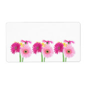Gerbera Daisy Piink Blume (Vorne)