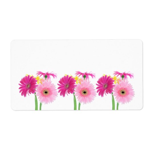 Gerbera Daisy Piink Blume (Vorne)