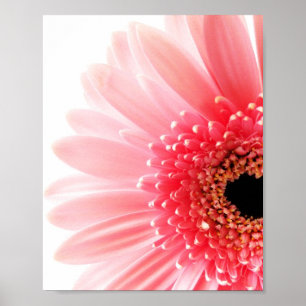 Gerbera-Daisy-Plakat Poster