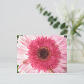 Gerbera Daisy Post Card Postkarte (Stehend Vorderseite)